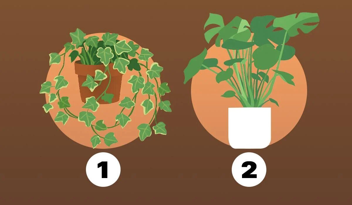 Как вы относитесь к своим ошибкам: узнайте через этот быстрый тест на личность