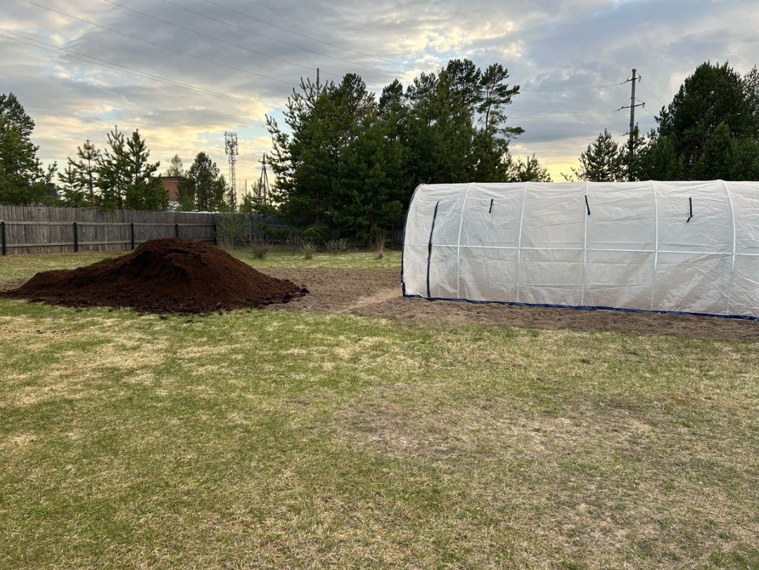 Почему авторам важно избегать мании величия