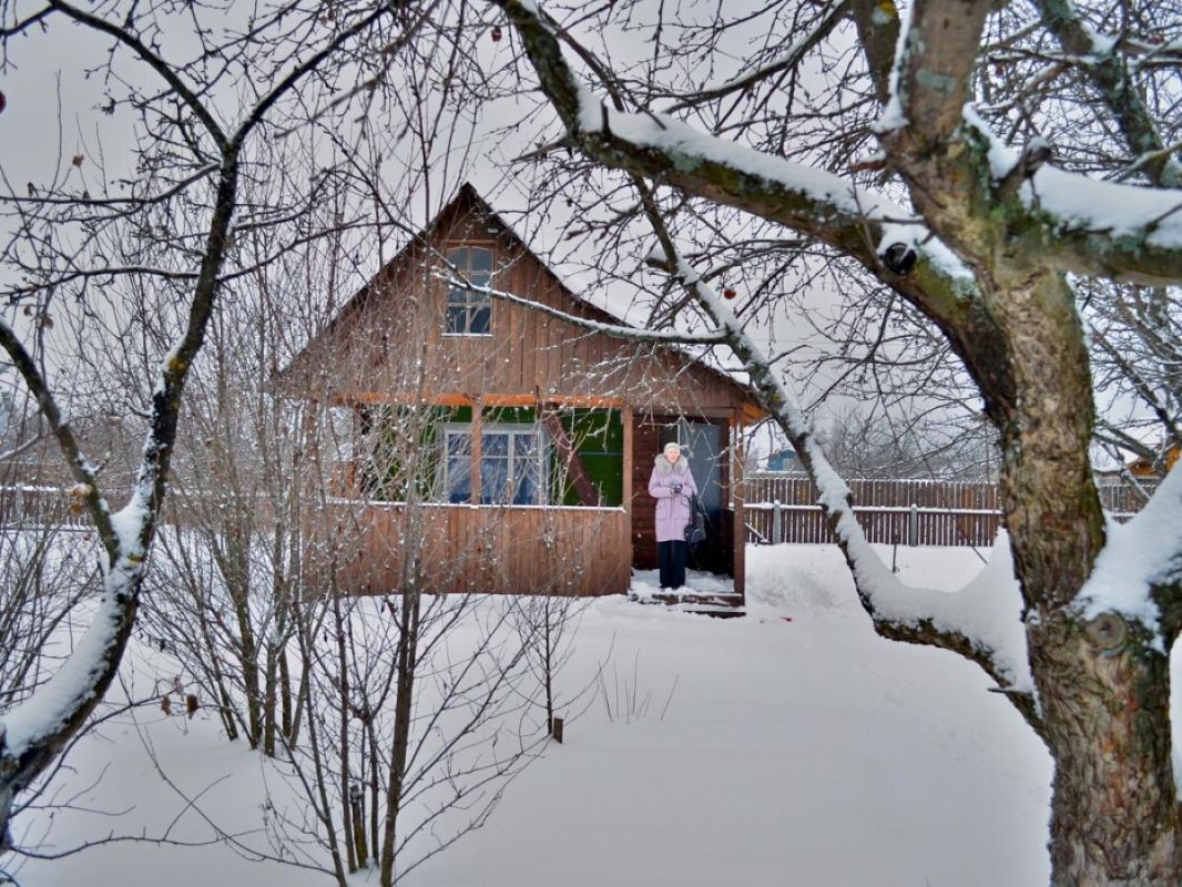 Зимняя посадка: как яблони и груши чувствуют себя в холода