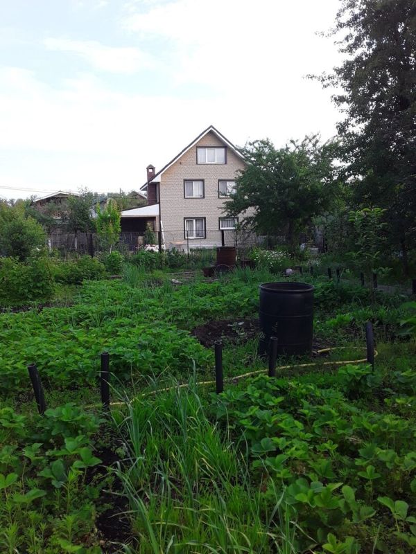 Почему маленький дачный участок – это идеальный выбор для многих садоводов