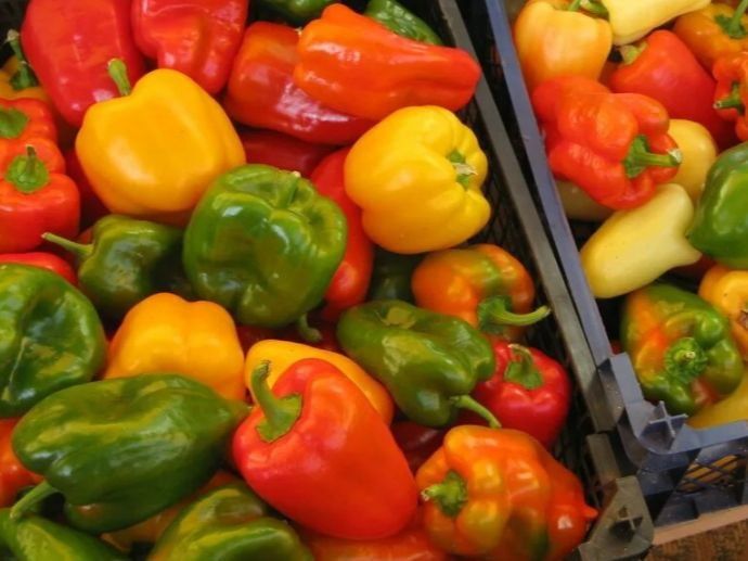 ��� ������� ��������� �������� �� �������: ������� �����������