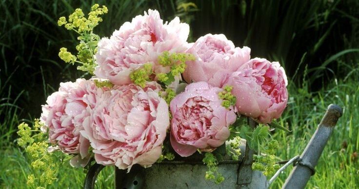 ��� ���������� ������ �������� ������: ������� ����� � ���������