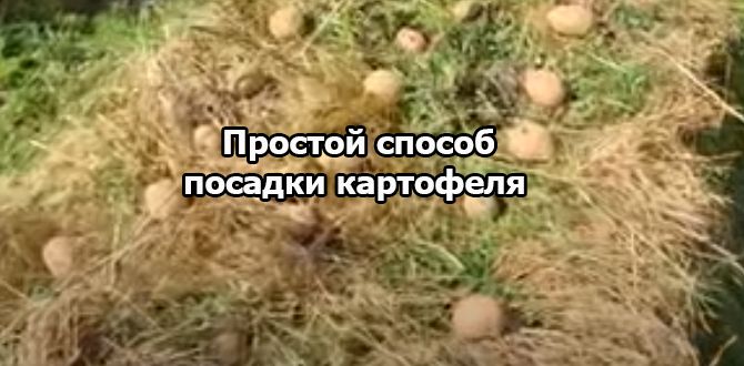 ��� ������������� ������� ������� ��������� ��� ���������� ���������