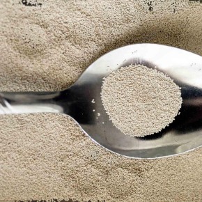 Как пробудить цветение денежного дерева с помощью натуральных удобрений?