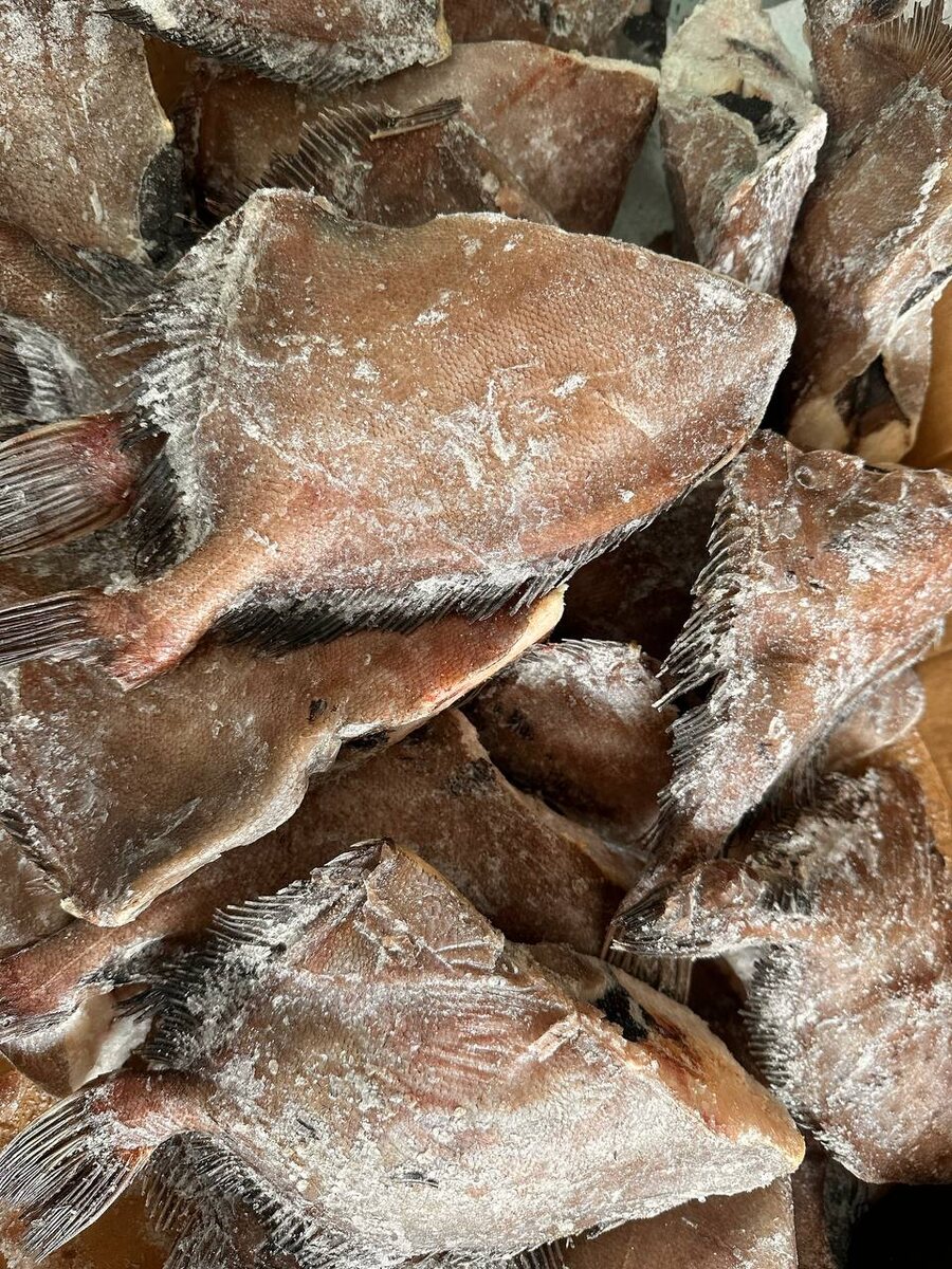 Возвращение вкусной рыбы на прилавки