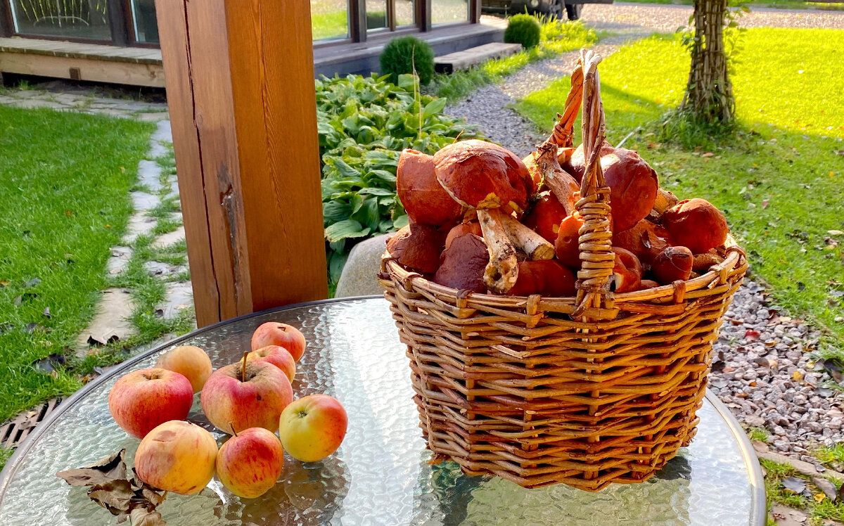 ��� ��������� ���������� ����� �� ����: �������� ������