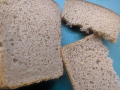 ��������� � 2024 ���� ����� ����� 95 ����������� �����