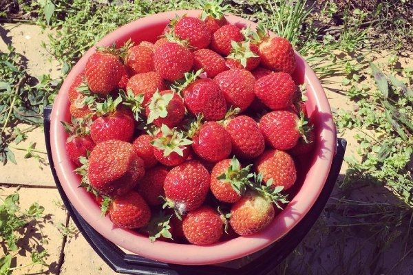 �������� �����: ��������������� ���� ���� � ������� ��������� �����������