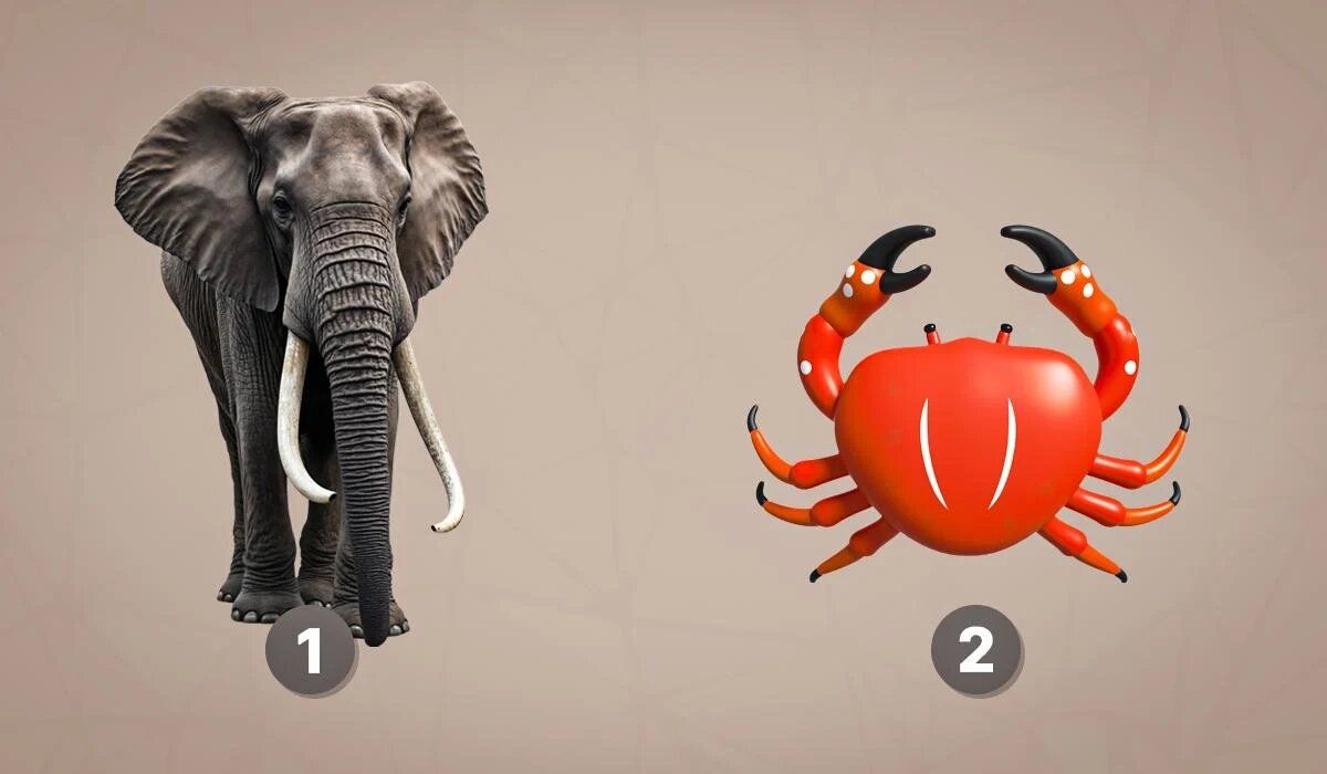 ��������������� ����: ����� �� �� ����� ����?