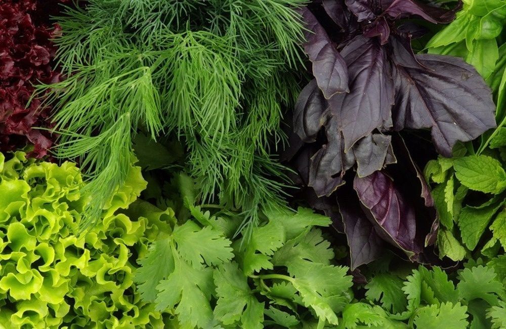 ���������� ������ ������ ������ � �����: ��� ������� ����� � ����� � ������ ����