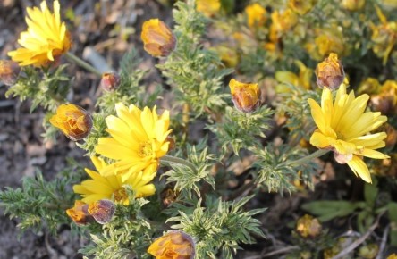 ������: ���������� ������ ����� � ����� ������� ���� ��� ������ ����