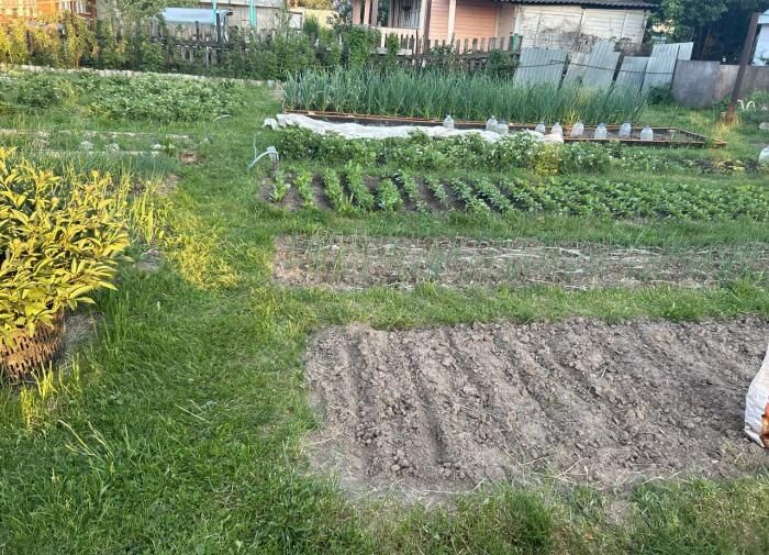 ��� �������� ��������� ����� �� ����: ������ ���� � ������� ������������