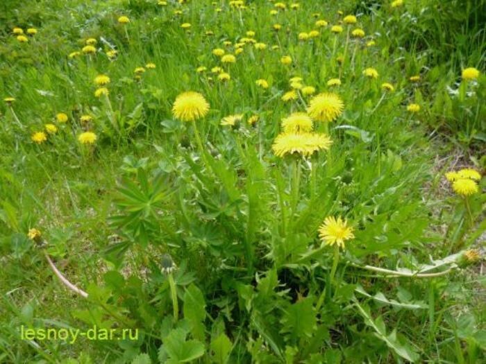 ��������� ������������: �� ������ ������, � ��������� ������� �������� �������