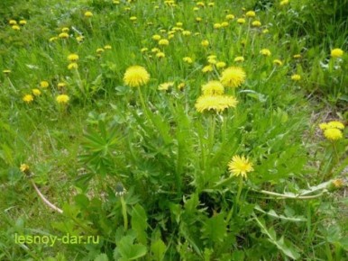 ��������� ������������: �� ������ ������, � ��������� ������� �������� �������