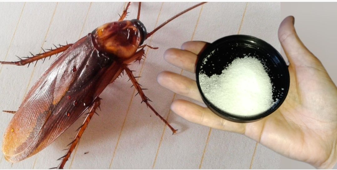 ��� �������� ���������� �� ���������: ����������� ������ � ������