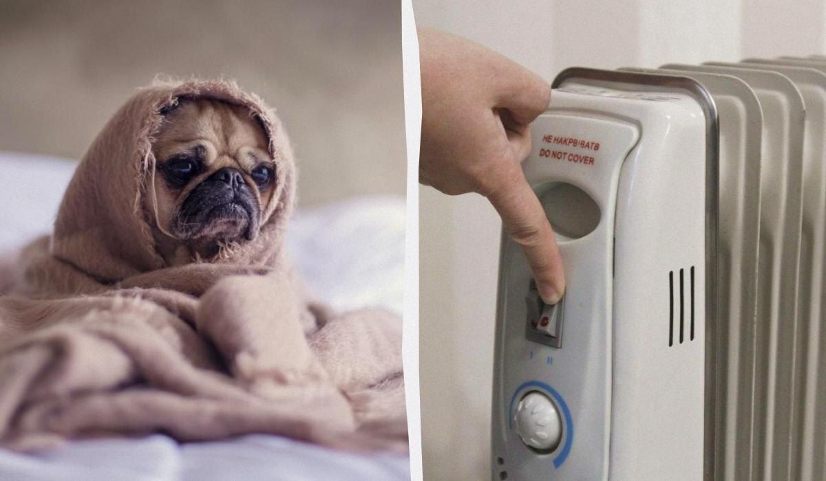 9 ����, ��� ������������ ����� �������� � ���������