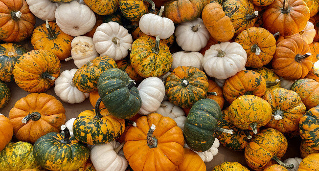 Идеальный выбор тыквы для осеннего стола