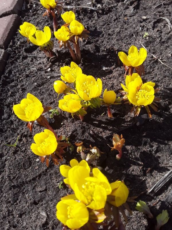 ������ ������� � ��������� ����� ��� ��������� ��������� ����