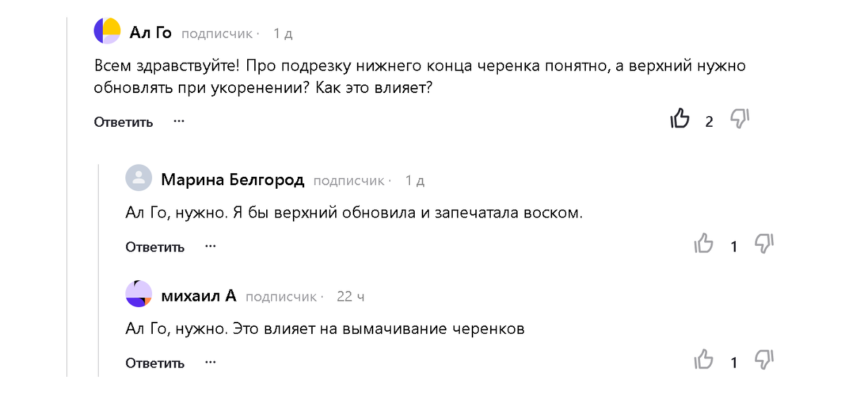 Виноградные нюансы: как правильно держать верх и низ черенка при укоренении