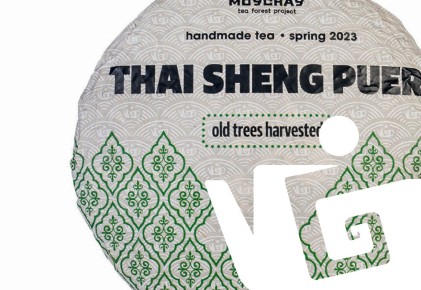 ��� ����: ������� ������ ��� � ��� ��������