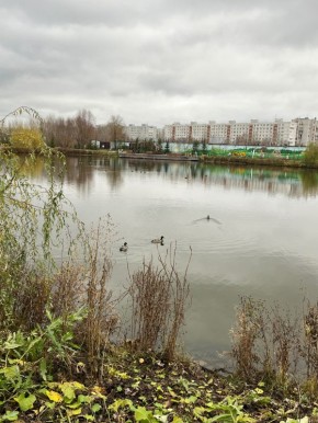 ������ ����� ����� �� ������ �������