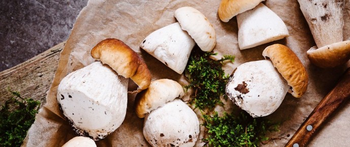 ������ ��������� ����� ������: � ��� �� ������������ � ���������� ������?