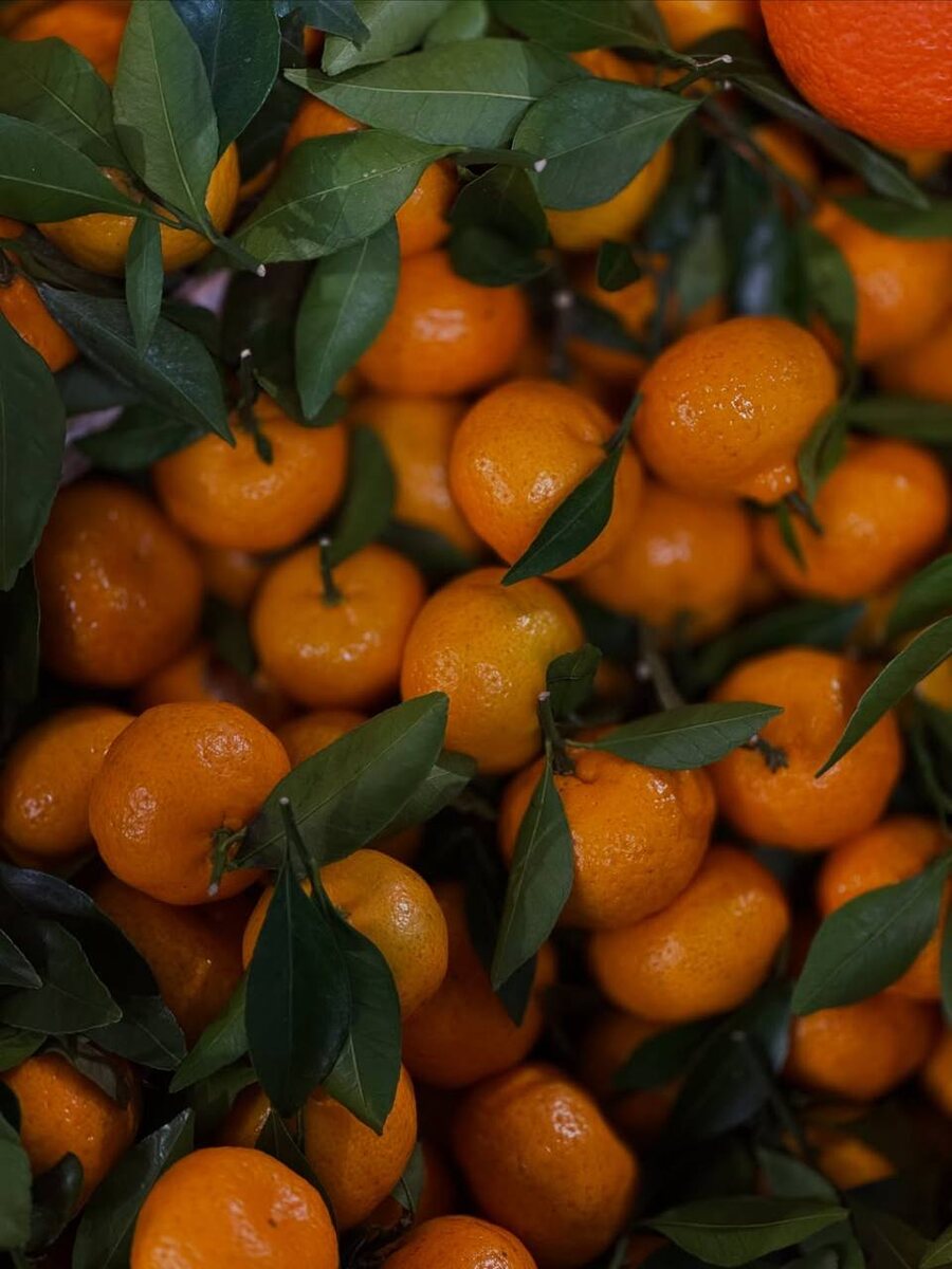 Аромат весны: время наслаждаться мандаринами