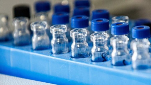 Липид из дальневосточной рыбы может помочь восстановить мозг после травм