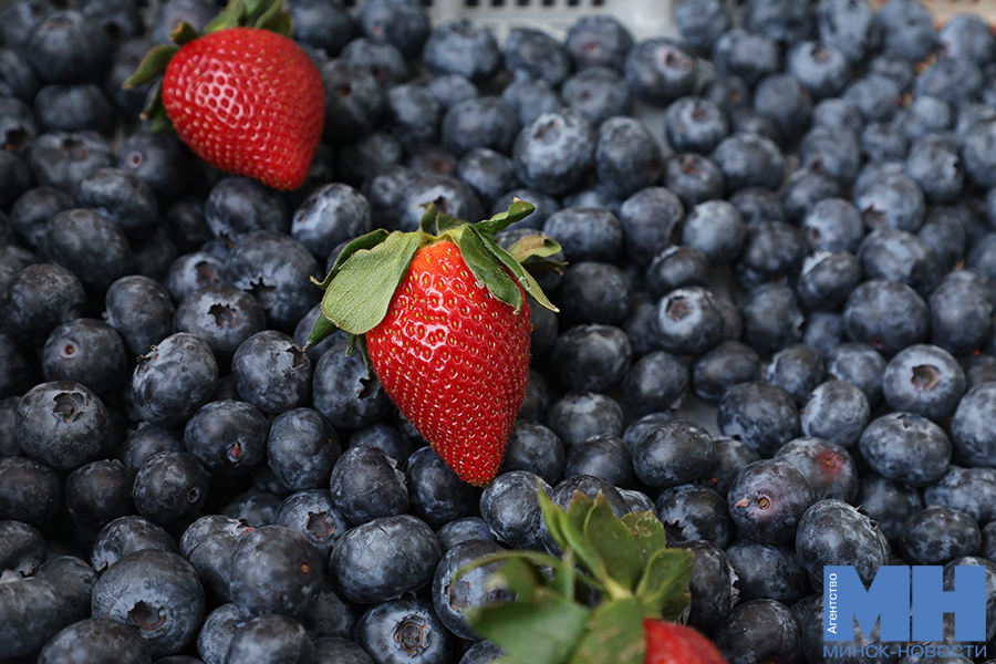 На Комаровке начались весенние распродажи: арбузы за 25 рублей