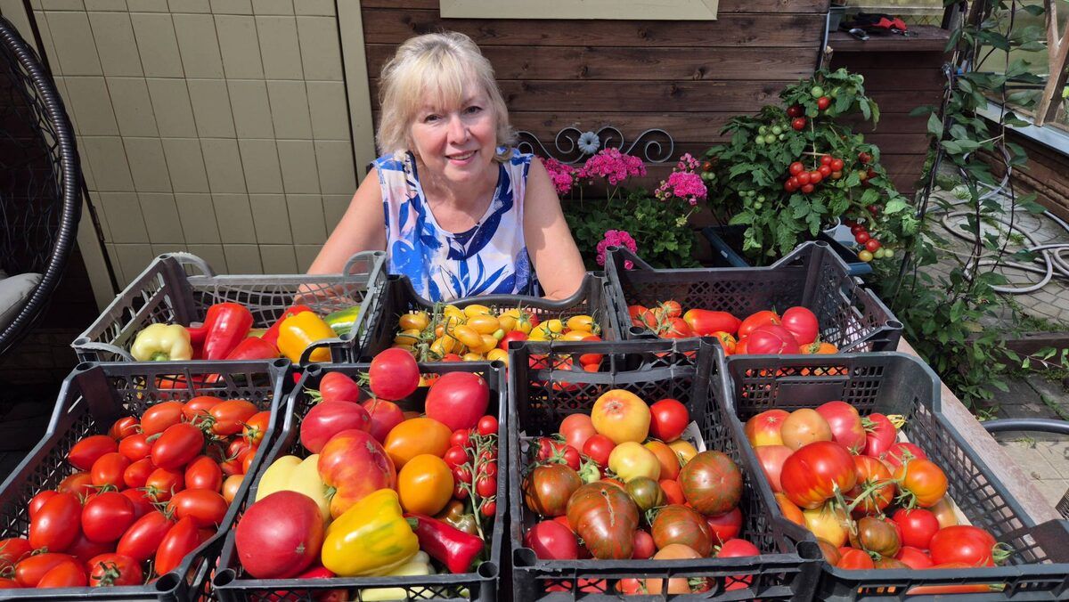 ������ �����: ������� ��������� �� ���� ��� ������