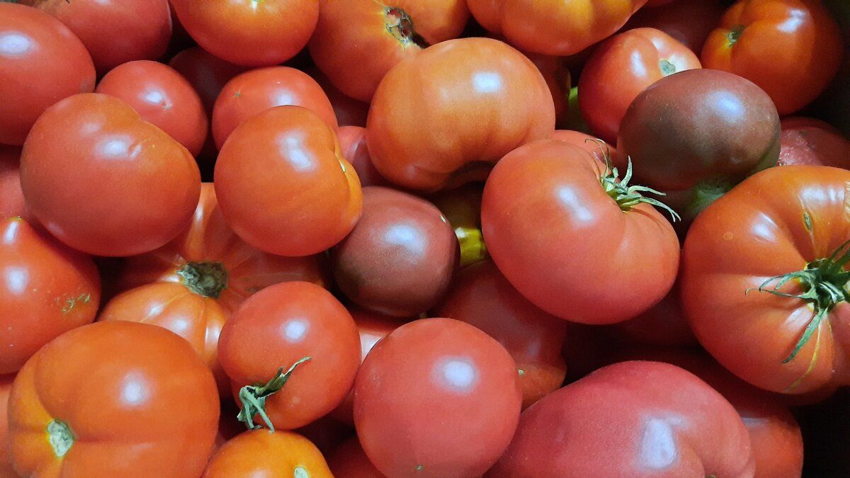 ��� ��������� ���� ����: ��� ������� ��������� ��������� �� ����