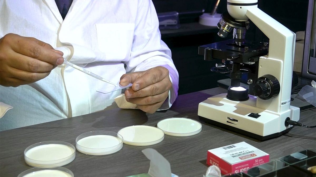 ������� � ����-������: ��� ��������� � ��� ���� ��� �����