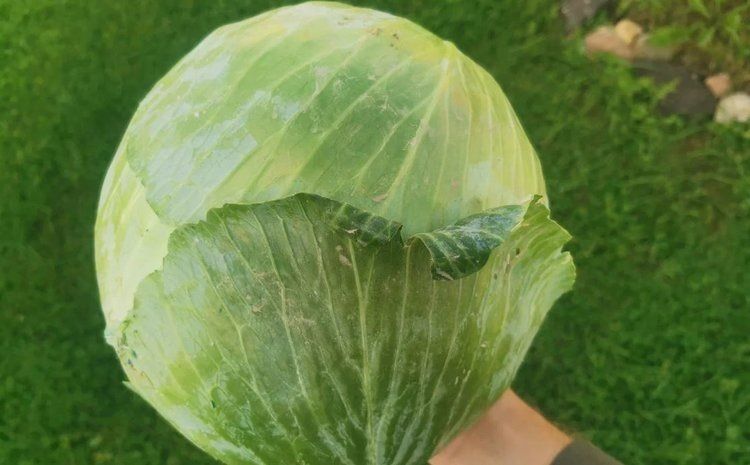 ��� ���������� ������� �������� ������� ��� �������� � ������������