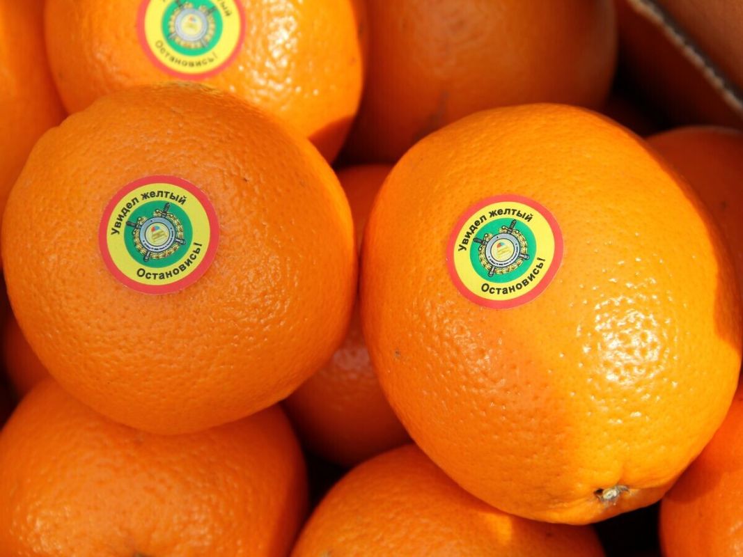 Цены на апельсины достигли исторического минимума