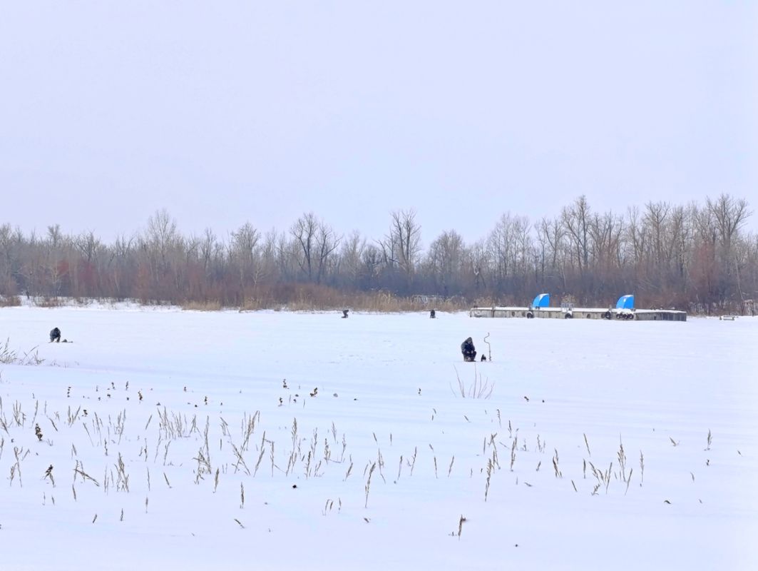 ������ ������� �� �����: ������� �������� ����� ������