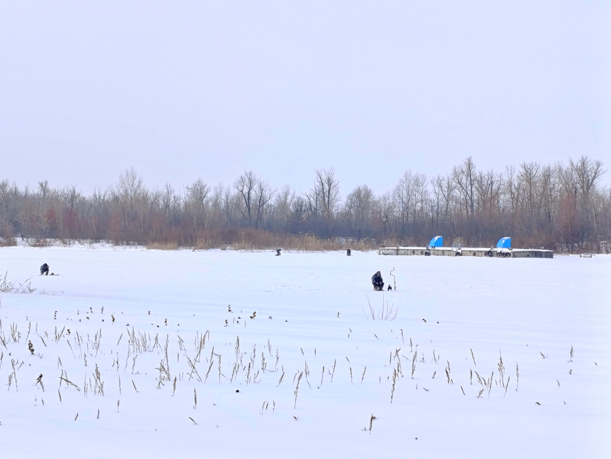 Зимняя рыбалка на Волге: секреты удачного улова окуней