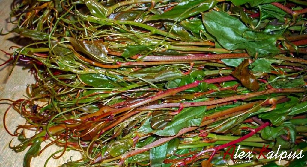 �����: ���������� ��������� ������ � ����� ����