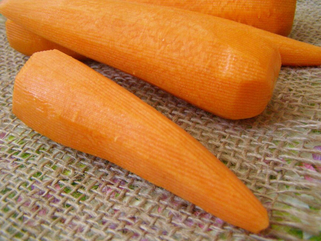 ����������� ����: ������� ������ ��������� � ����������