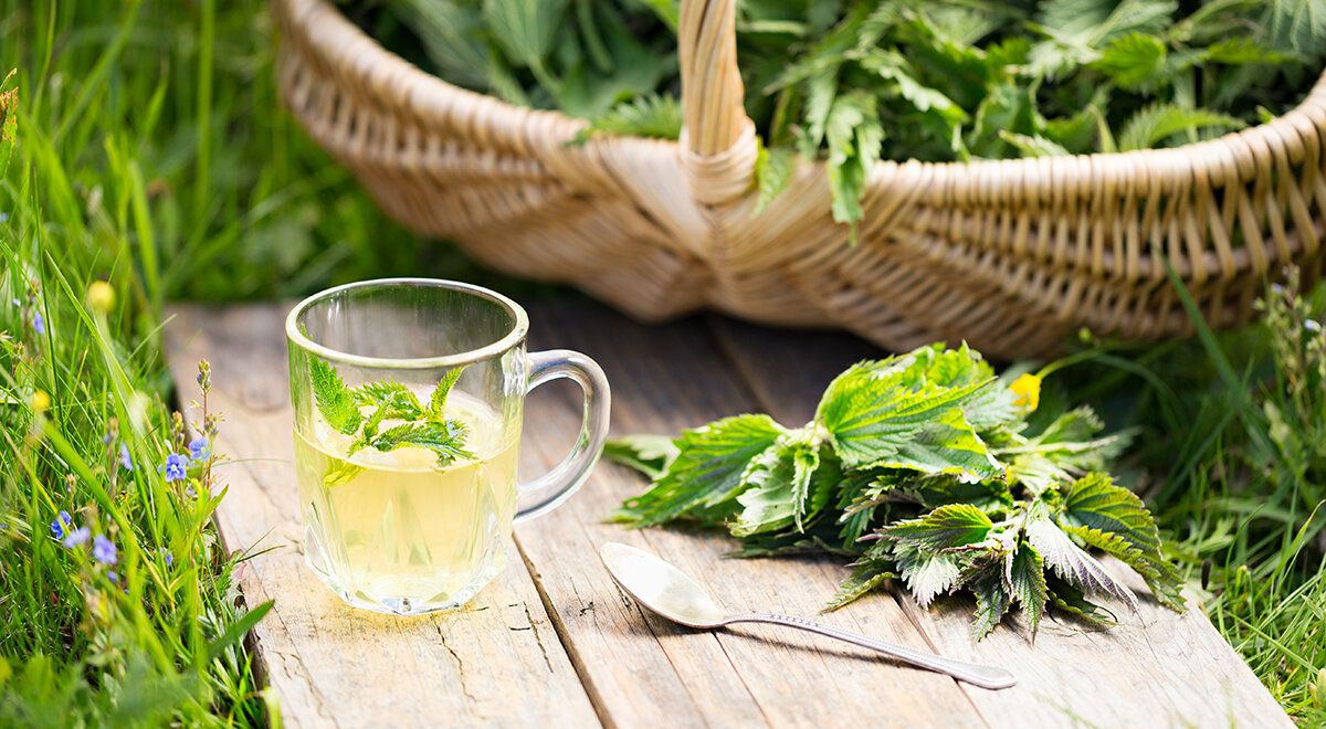 Крапива на вашей тарелке: удивительные рецепты и советы по приготовлению