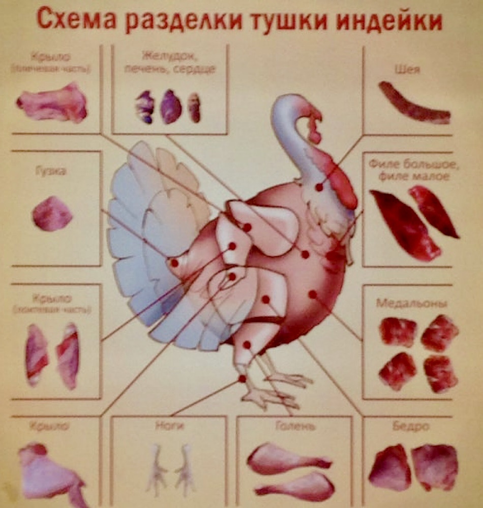 Индейка: суперпродукт для здоровья и спортивных успехов