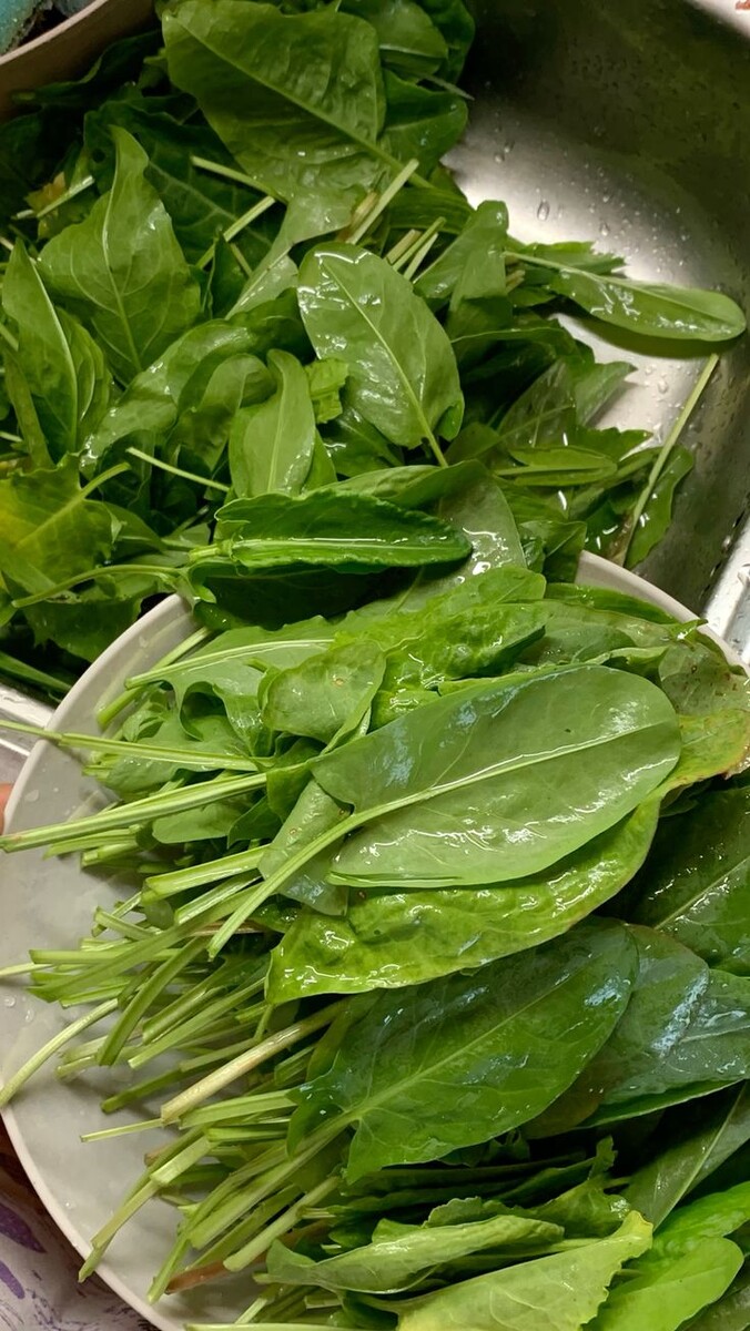 Поджелудочная и её враги: какие продукты лучше исключить из рациона