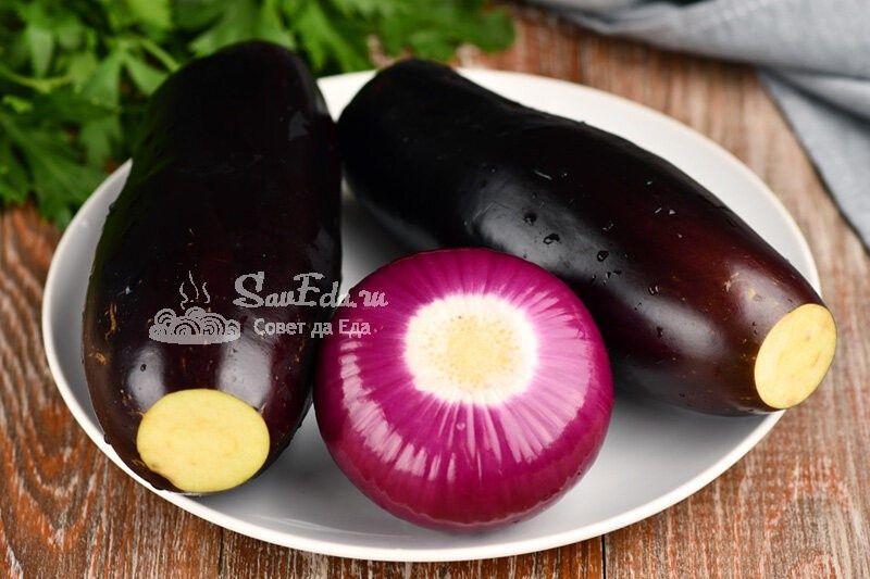 ������ ��������� � �����: �������, ������� ������ ����