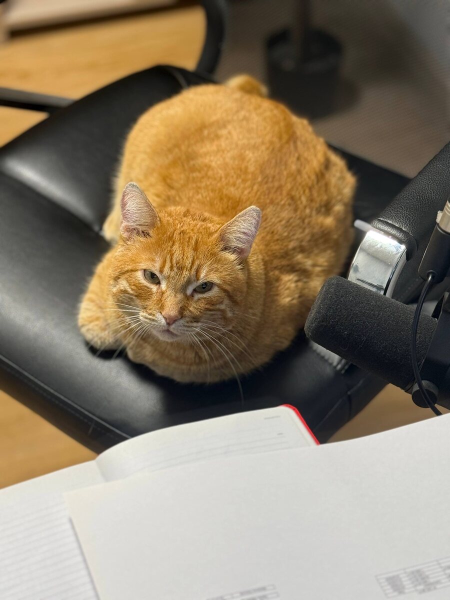 Томас радует своей приближением в России