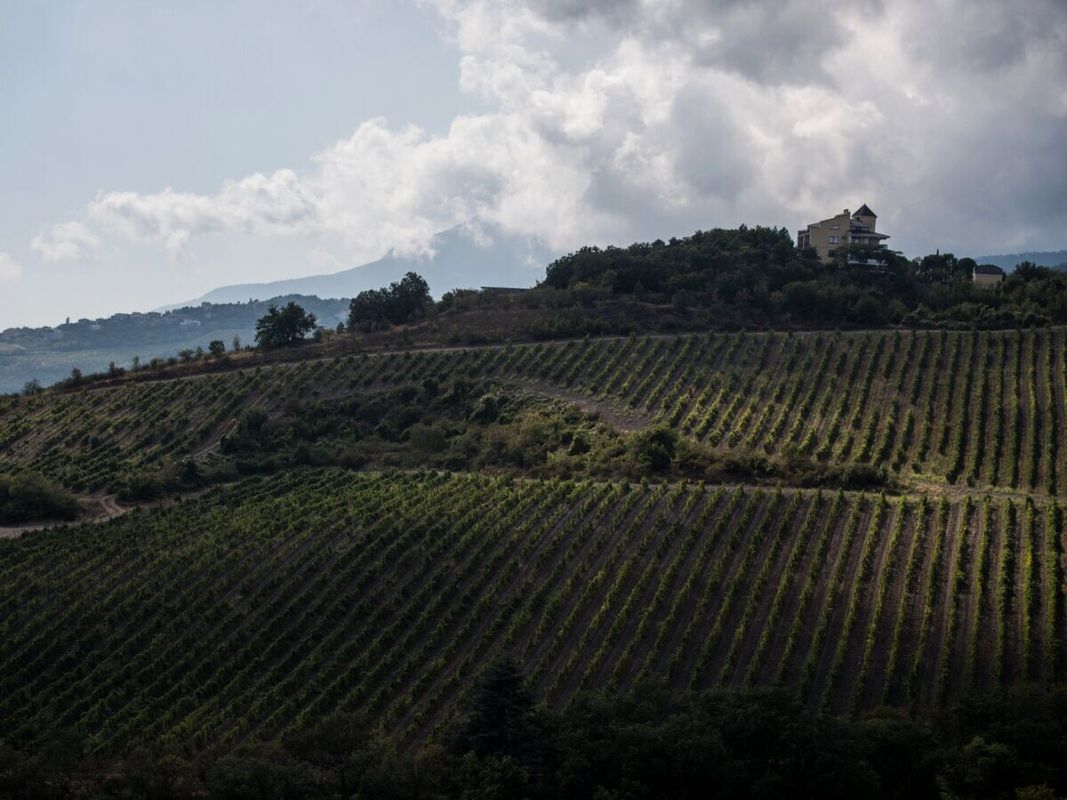 ����� �������: ��������� ��� ��������� ������� ������ �� ������ ���������