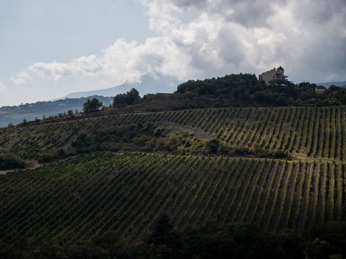 Новые правила: гостиницы для сельского туризма только на землях виноделов