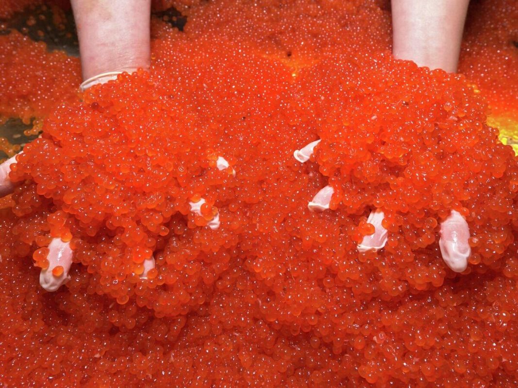 ������ ������� ���� �� ���������� �������� ������ ������������� �������������