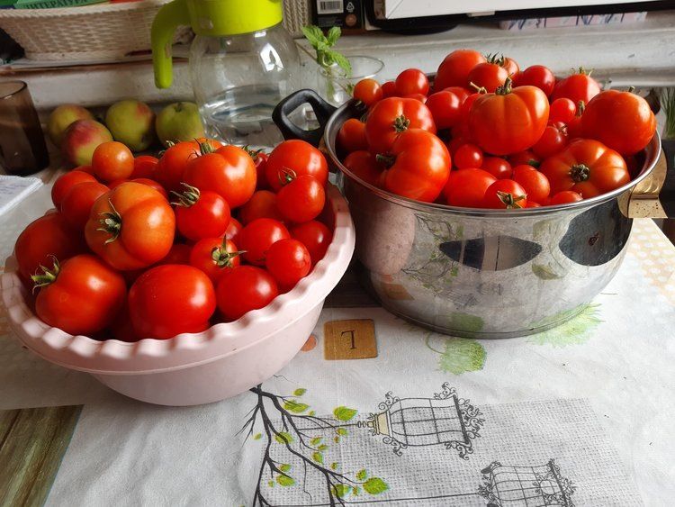 ��� ��������� �������� ������� �� ����: ������������ ������