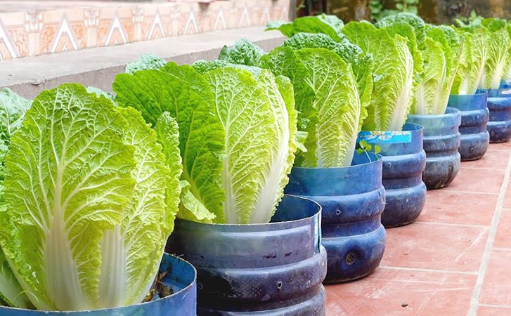 ��� ������� ���������� ��������� ������� �� ����������� ������� ���