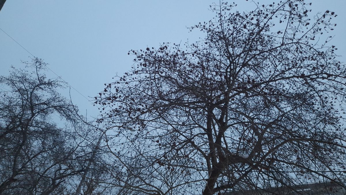 ����������� ��������� ��������: ��� �������� ����� ������ � ������ �����