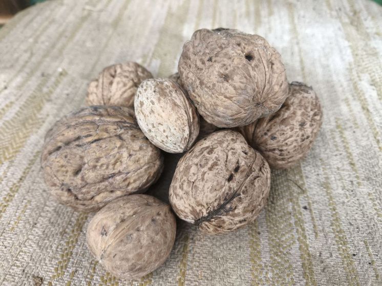 ��������������� ���������� ������� � �������� ������������ ������ � ������� ����